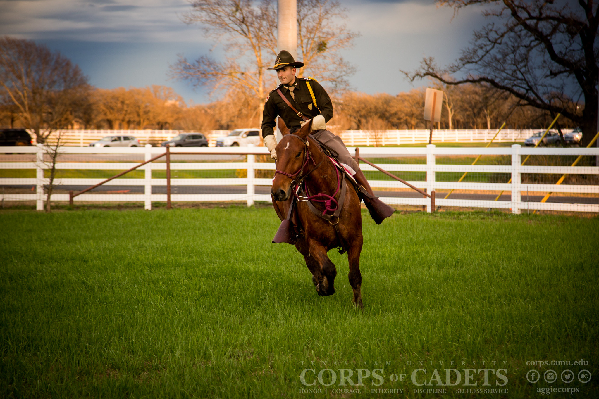 Parsons Mounted Calvary